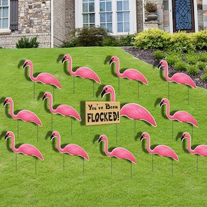 You’ve Been Flocked Pink Flamingos, 13pc Yard Sign Set