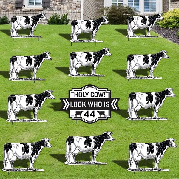 Holy Cow! Look Who Is 21, 30, 40, 50, 60, 70, 80, 90, 100 or Custom Age, 11pc Birthday Yard Card Lawn Sign Set