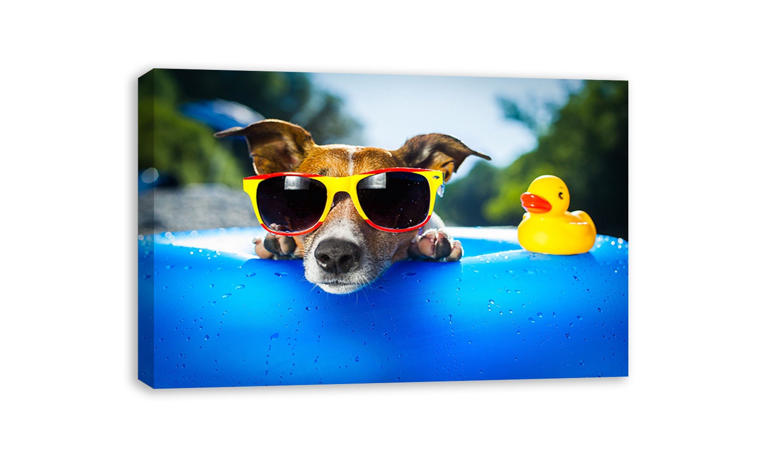 Dog in sunglasses Canvas Wall Art Etsy