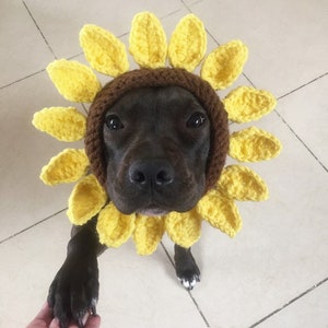 Sunflower Doggy Snood