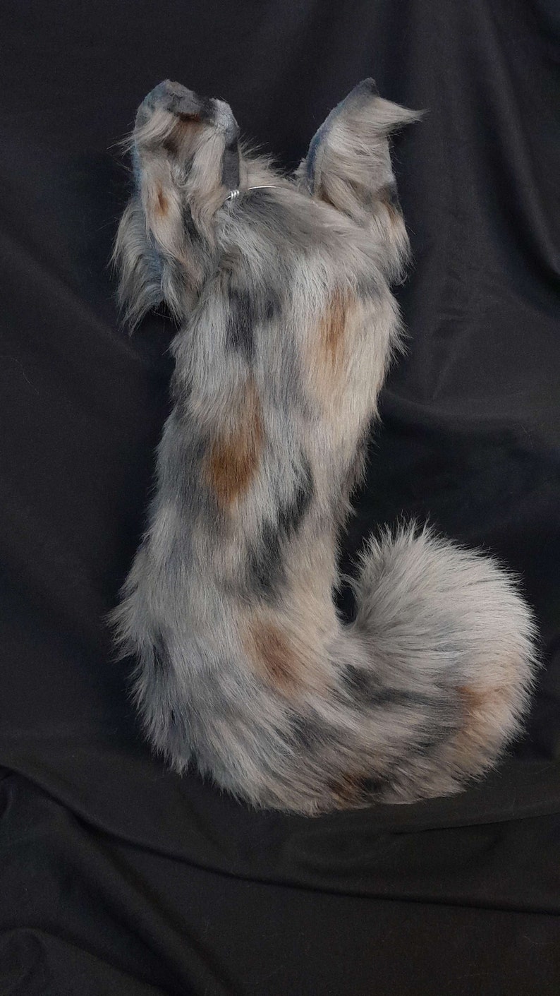 Soft Rounded Tail Custom: Australian Shepard Tail and Ear Set - Etsy