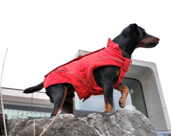 Dog Winter Jacket Red Soft-Shell w/ Fleece Lining - Perfect for the Outdoor Enthusiast