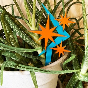 May include: A potted aloe vera plant with a blue lightning bolt and orange star-shaped decorations in the pot.