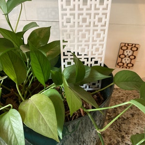 May include: A white plastic plant trellis with a geometric pattern. The trellis is placed in a pot with a green plant.