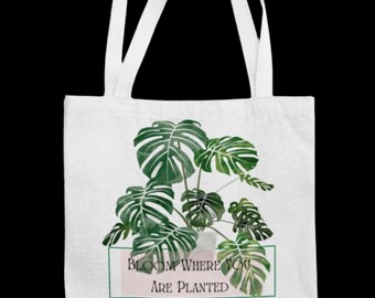 Florece donde estás plantado (Monstera)