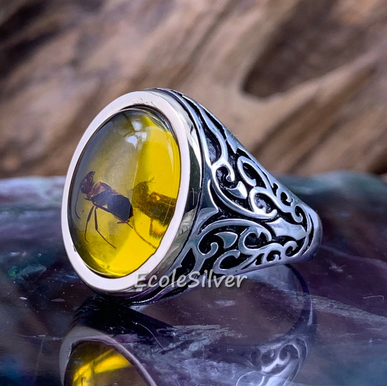Amber Jewelry Amber Insect Ring Amber Ring With Insect 2025