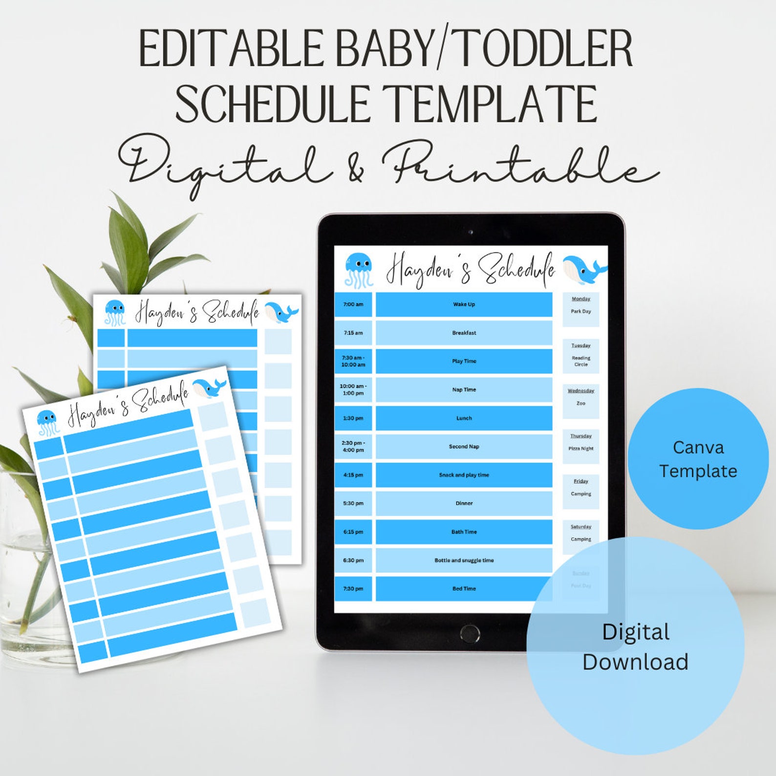 Editable Daily Schedule, Editable Daily Routine, Baby &amp; Toddler Schedule, Printable Schedule ...