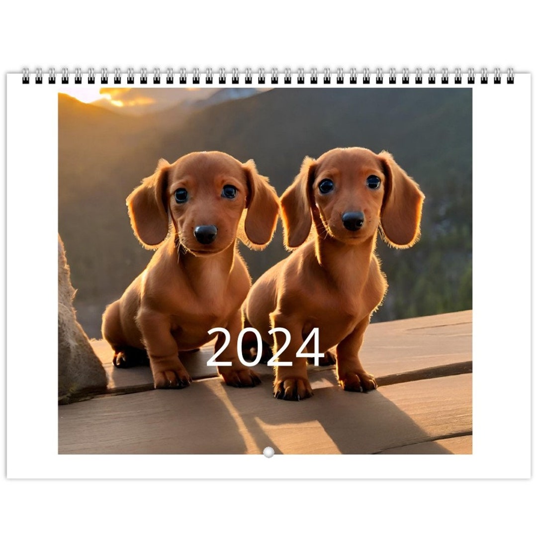 Dachshund Puppies Wall Calendars US & CA Etsy