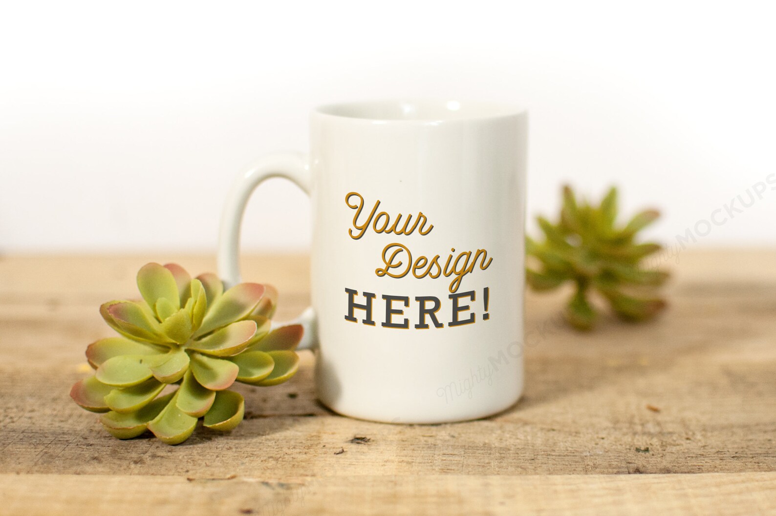 Download Succulent Mug Mockup Digital Download Blank Mug Mockup | Etsy