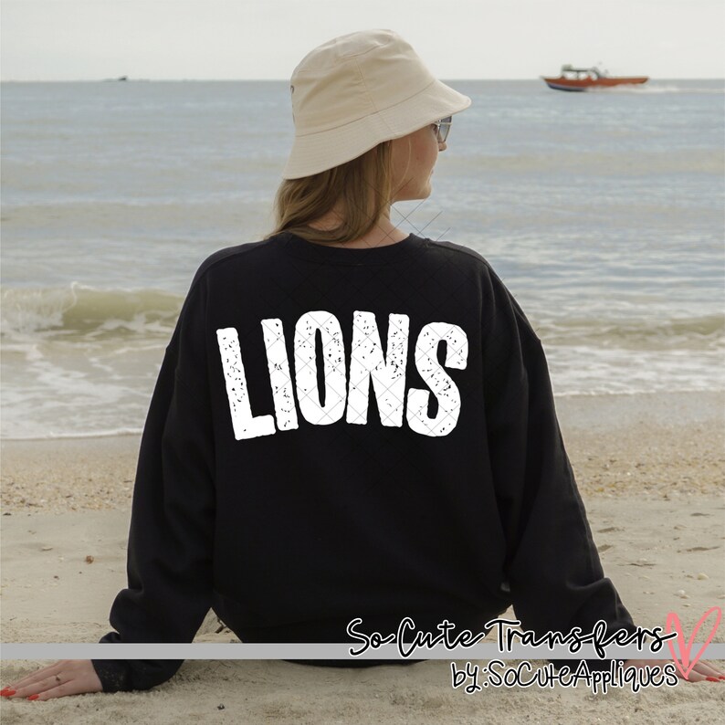May include: Black sweatshirt with white distressed text that reads "LIONS" on the back.