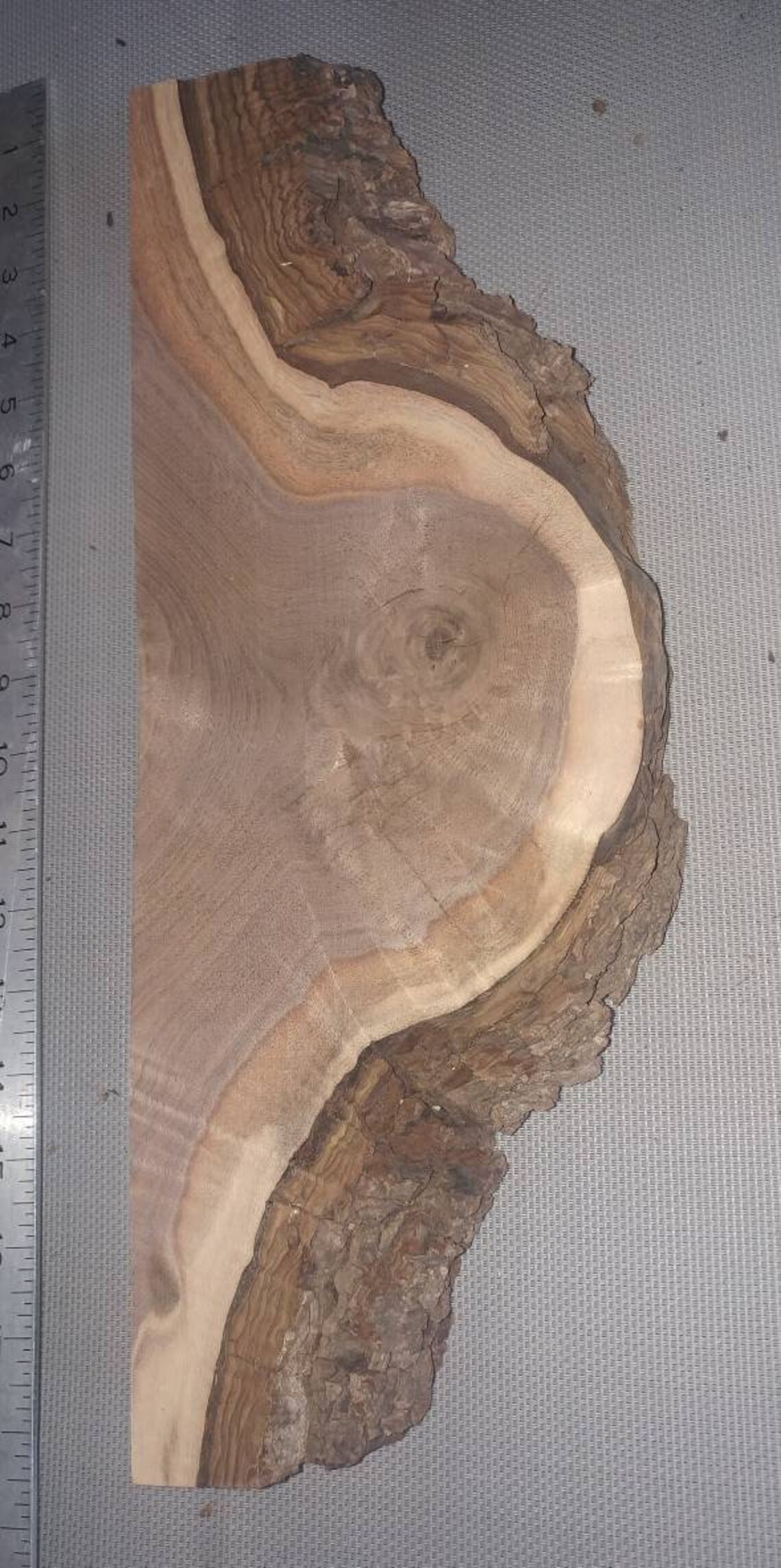 Live Edge Black Walnut Lumber pith cubierto de vegetación Etsy