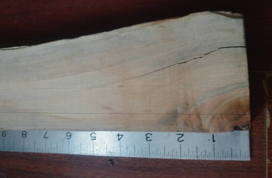 Spalted Silver Maple Live Edge Lumberlarge great ambrosia Etsy