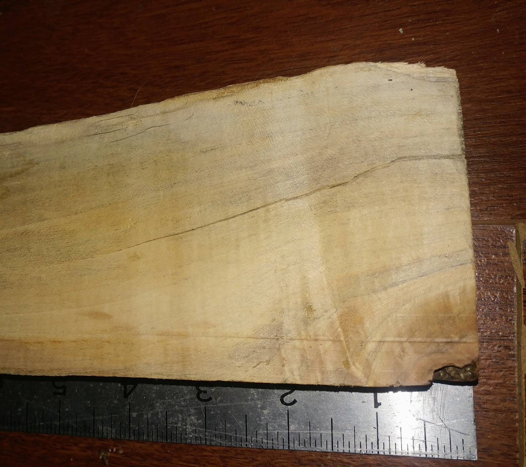 Spalted Silver Maple Live Edge Lumberlarge great ambrosia Etsy