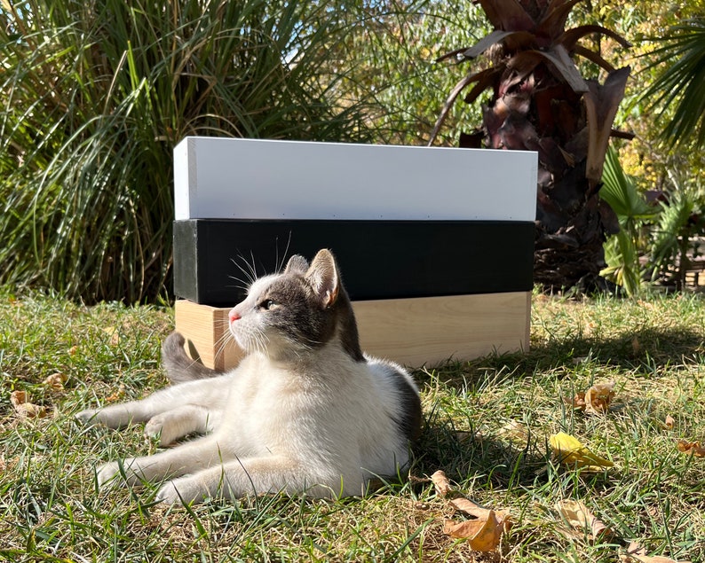 May include: A white, black, and natural wood planter box sits on green grass. A white and gray cat is lying in front of the planter box, looking up.