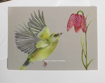 Ansichtkaart Vliegende groenling met kievitsbloem. (wenskaart kunst print vogel natuur postcrossing illustratie flora fauna)