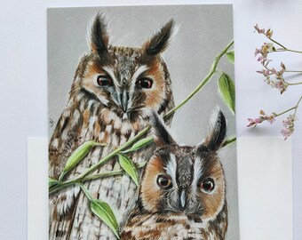 Ansichtkaart Twee Ransuilen. (wenskaart kunst vogel dier natuur postcrossing illustratie uil ransuil - Asio Otus)