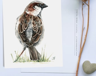 Postcard Sparrow (in watercolor)