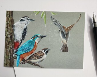 Postcard title: 'The dancing sparrow'. (greeting card print bird animal nature postcrossing illustration gardenbird woodpecker kingfisher)