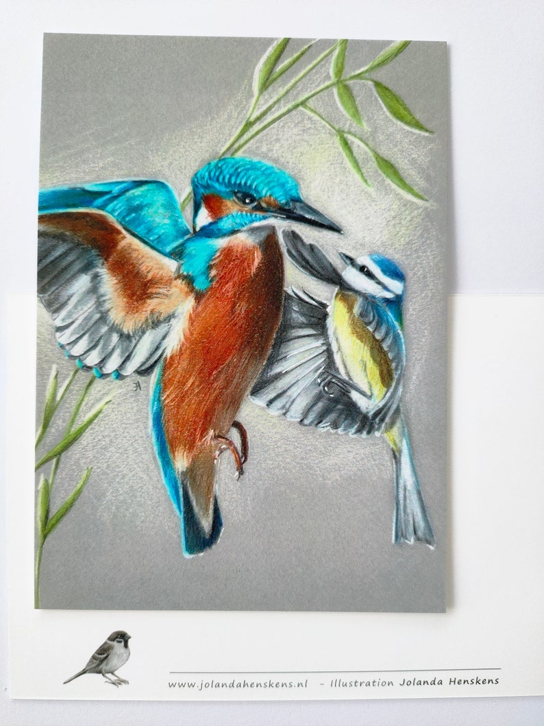 Ansichtkaart Valentine: Omhels mij. wenskaart kunst print vogel dier natuur postcrossing illustratie tuinvogel mus ijsvogel vliegende vogel afbeelding 1