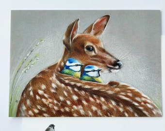 Postcard Valentine: come with me. ( deer greeting card art print bird animal nature postcrossing illustration gardenbird bluetit)
