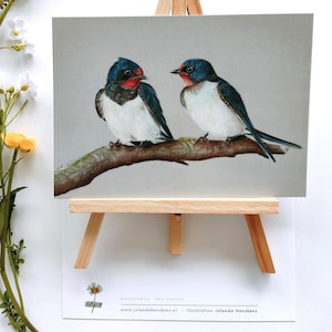 NIEUW ! Ansichtkaart. Titre : Twee boerenzwaluwen. (hirondelle rustique vogel)