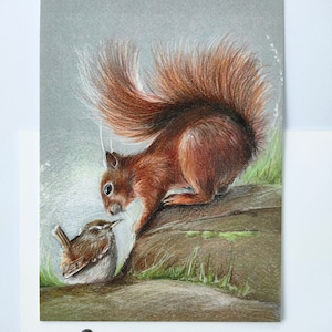 Ansichtkaart. Titel: Kus mij. ( eekhoorn winterkoninkje wenskaart kunst print dier vogel natuur postcrossing illustratie valentijn).