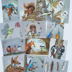 Lot de 14 sur 20 pièces : Kies zelf.  Ansichtkaart, wenskaart, mini print, vogel dieren natuur illustration postcrossing