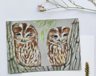 Ansichtkaart Twee Bosuilen. (wenskaart kunst vogel dier natuur postcrossing illustratie uil bosuil strix alucu)