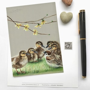 Ansichtkaart. Titel: Vijf eendjes en de kleine mus. (Kunstdruck Vogel dier natürliche postcrossing mit Muster)