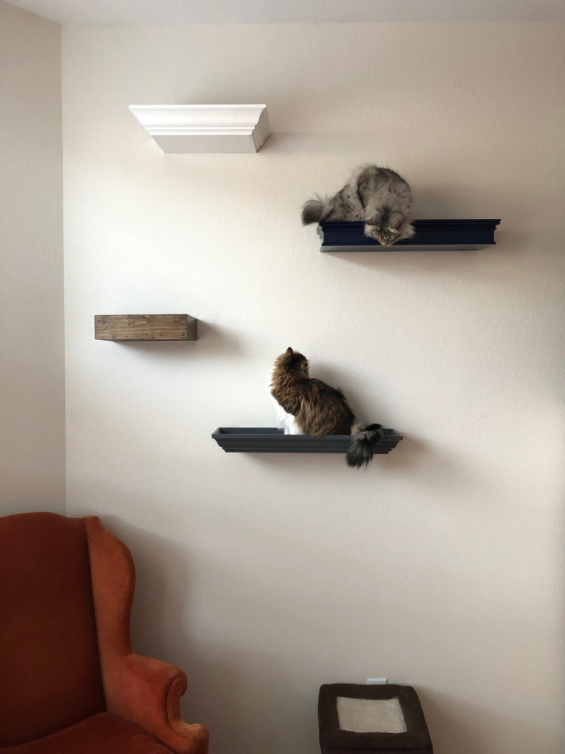 Classic Floating Cat Shelf Medium Etsy