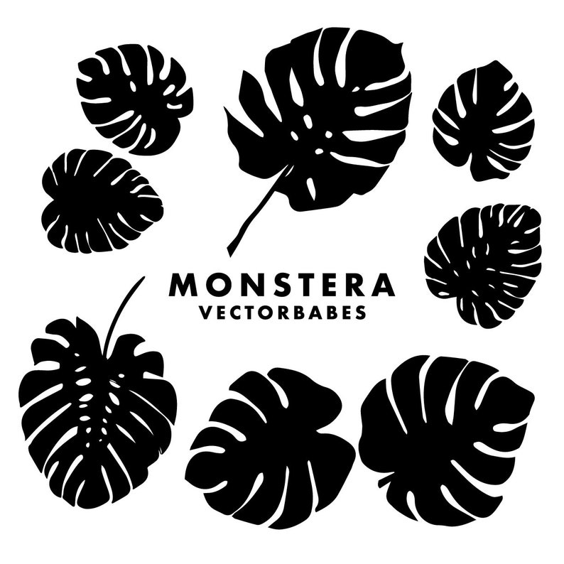 Monstera Cricut SVG Vector Pack | Etsy