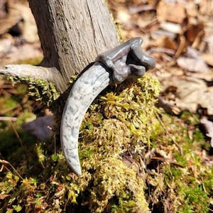Basilisk Claws