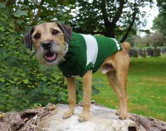 Custom Made Harry Potter Quidditch Team Dog Jumper