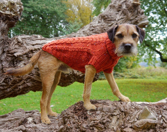Featured listing image: Custom Made Chunky Cable Knit Dog Jumper