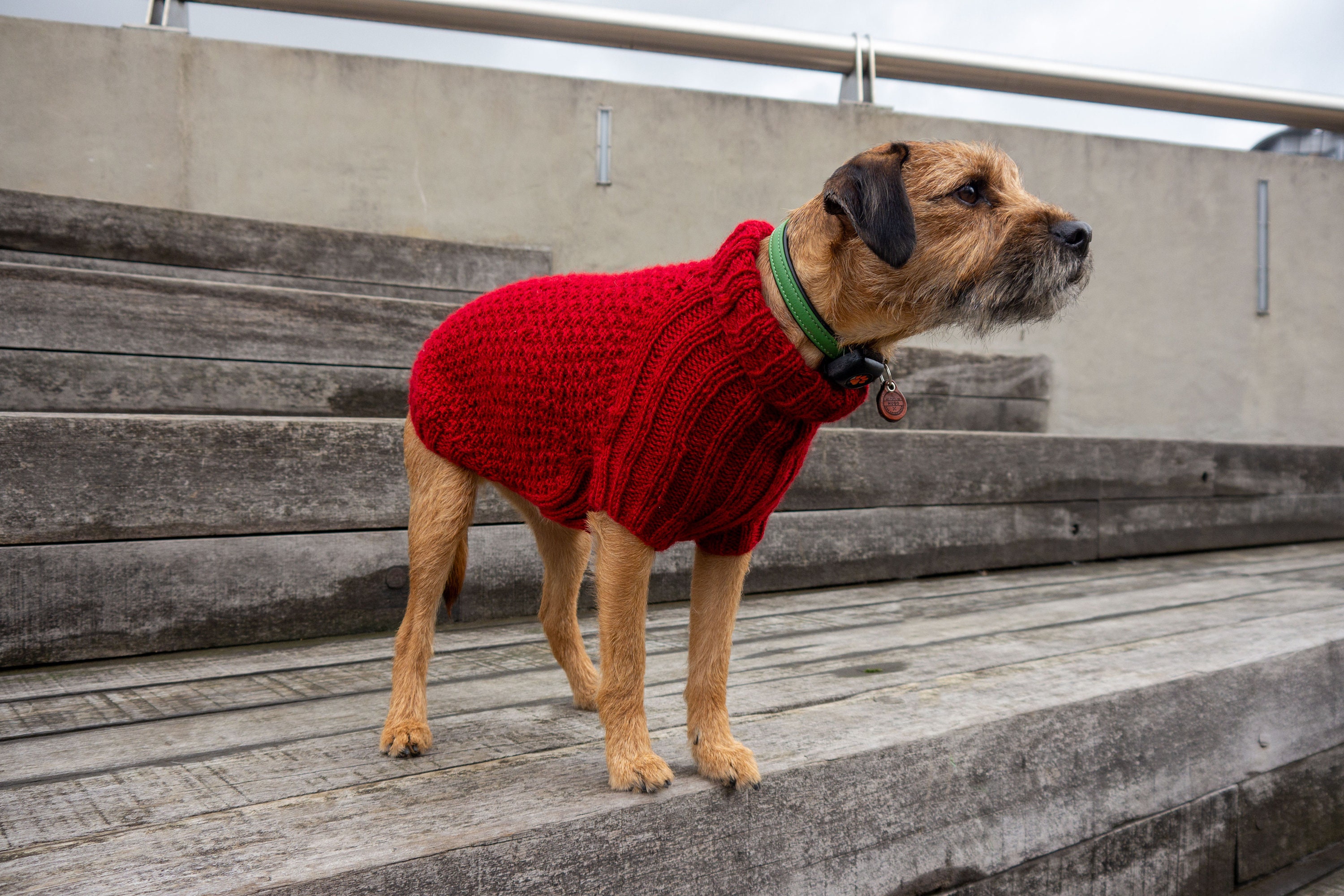 Custom dog jumper online