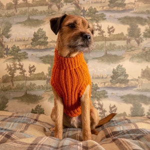 May include: A brown and tan dog wearing an orange knitted sweater sits on a plaid blanket. The dog is looking to the right of the frame.