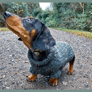 Suéter holgado para perro salchicha hecho a medida