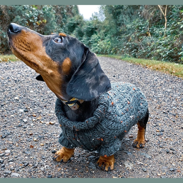 Custom Made Dachshund Slouch Jumper