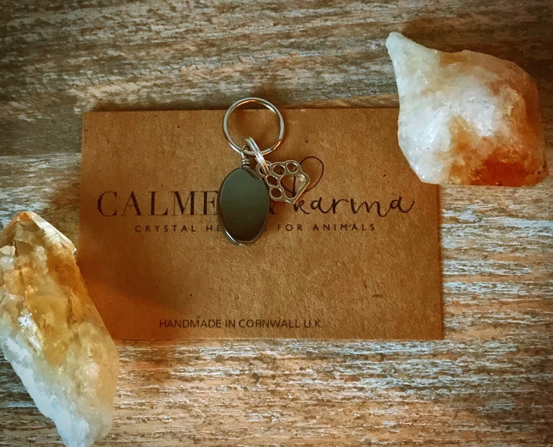 May include: Black obsidian crystal charm with a silver paw print charm attached to a silver ring. The charm is on a brown card with the text "CALME karma CRYSTAL HEALING FOR ANIMALS HANDMADE IN CORNWALL UK."