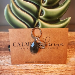 Op de afbeelding: Een zilveren bedel met een pootprint hangt aan een gouden ketting met een donkergrijze edelsteen. De bedel is gelabeld "Karma for Animals" en de edelsteen is gelabeld "Calm Crystal". De bedel is handgemaakt in Cornwall, VK.