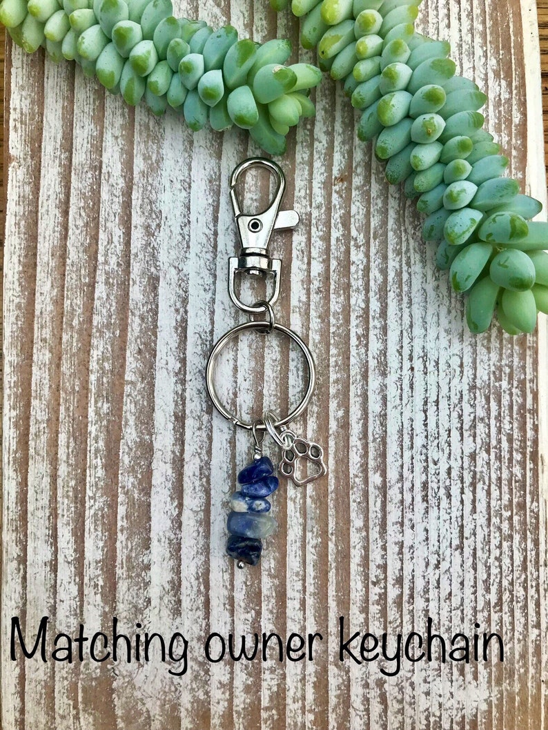 May include: A silver keychain with a blue and white stone charm and a silver paw print charm. The keychain is attached to a silver ring and a silver clasp. "Matching owner keychain" is written at the bottom of the image.