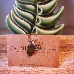 May include: A silver charm with a black oval stone and a silver paw print charm. The charm is attached to a gold chain. The charm is on a brown card with the text "Calm Karma Crystal Healing for Animals" and "Handmade in Cornwall UK".