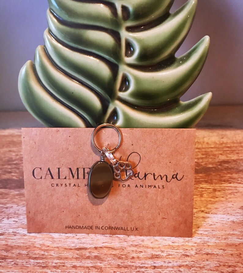 May include: A silver charm with a black oval stone and a silver paw print charm. The charm is attached to a gold chain. The charm is on a brown card with the text "Calm Karma Crystal Healing for Animals" and "Handmade in Cornwall UK".