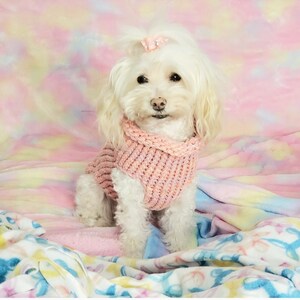 Cotone Peach e Pink Ombre Knit Dog Maglione