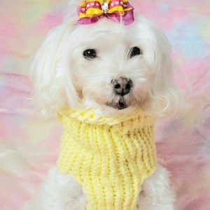 Boston Bruins Dog Sweater, Double Knit, Medium Dog Sweater, NHL
