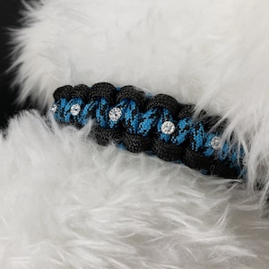 Blue and black collar