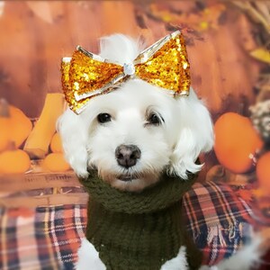 Può includere: Un piccolo cane bianco con una sciarpa di lana verde e un fiocco dorato scintillante. Il cane è seduto su una superficie a quadri.