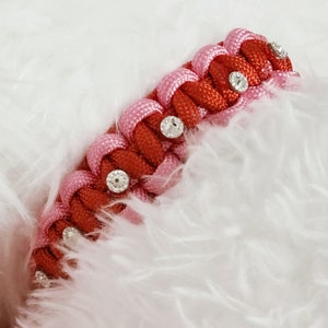 Red and light pink collar