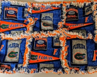 Florida Gator Purse