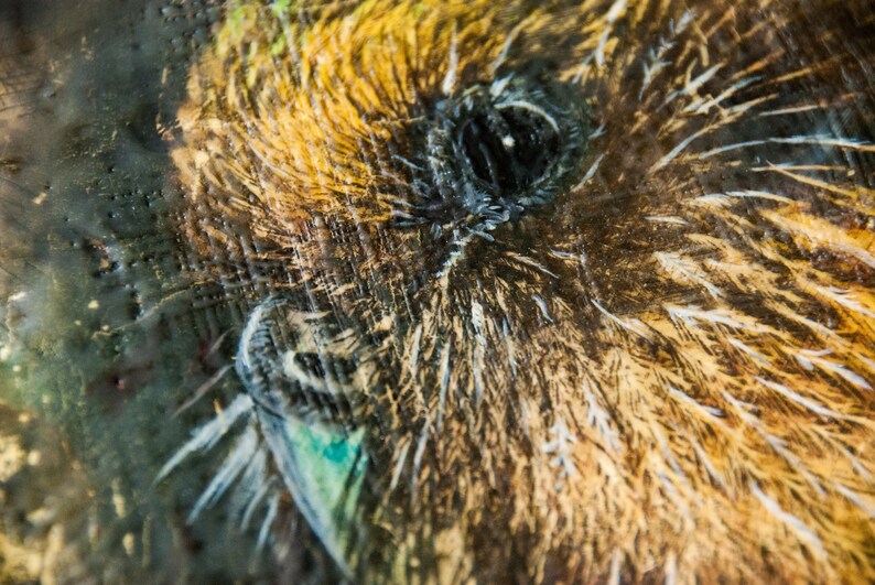 Kakapo Sinbad